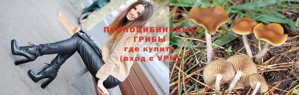 PSILOCYBIN Арсеньев