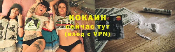 гашик Аркадак