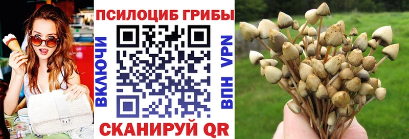OMG рабочий сайт Макарьев Псилоцибиновые грибы GOLDEN TEACHER
