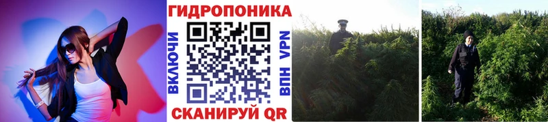 наркотики Макарьев Канабис ГИДРОПОН